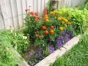 flower bed