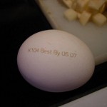 labeled egg