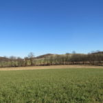 hay field and corn field with creek in background