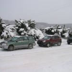 cars parked on snowy street